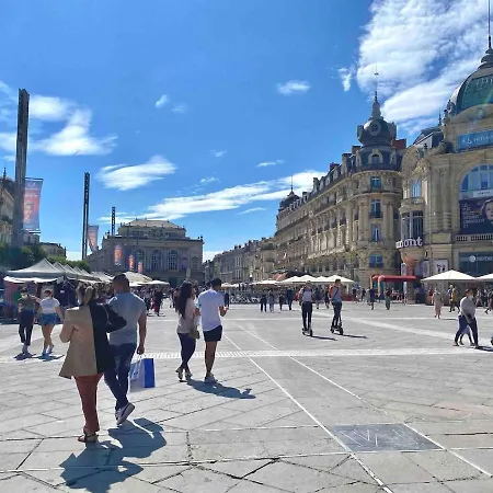 公寓 Stardust Comedie - Elegant Confort & Terrasse 蒙彼利埃